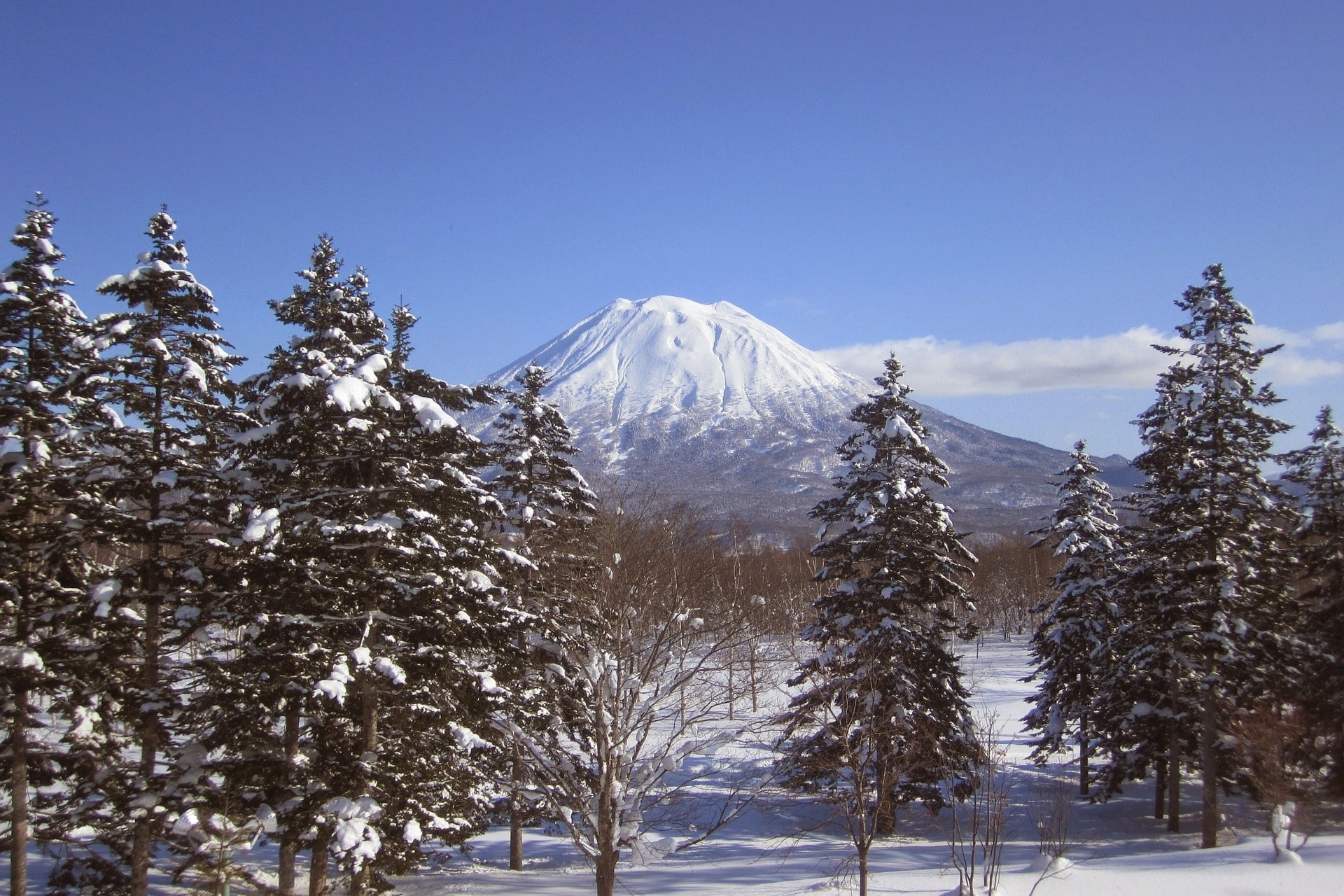 Góra Yotei